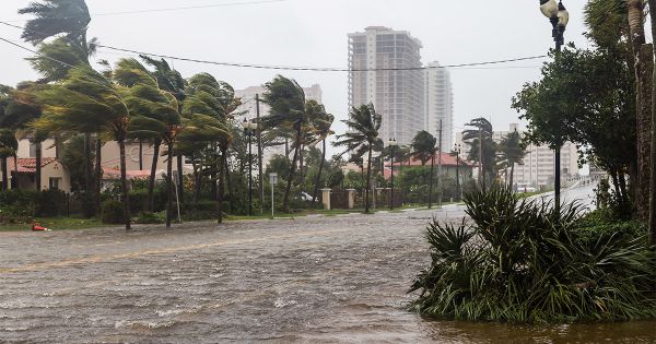 It's Never Too Early To Prepare a Roof for Hurricane Season